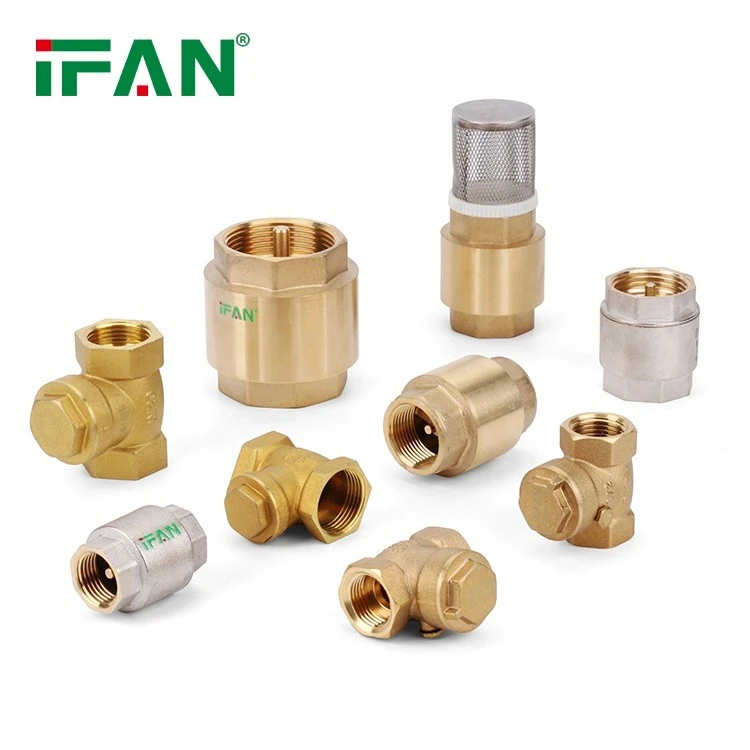 Check Valve