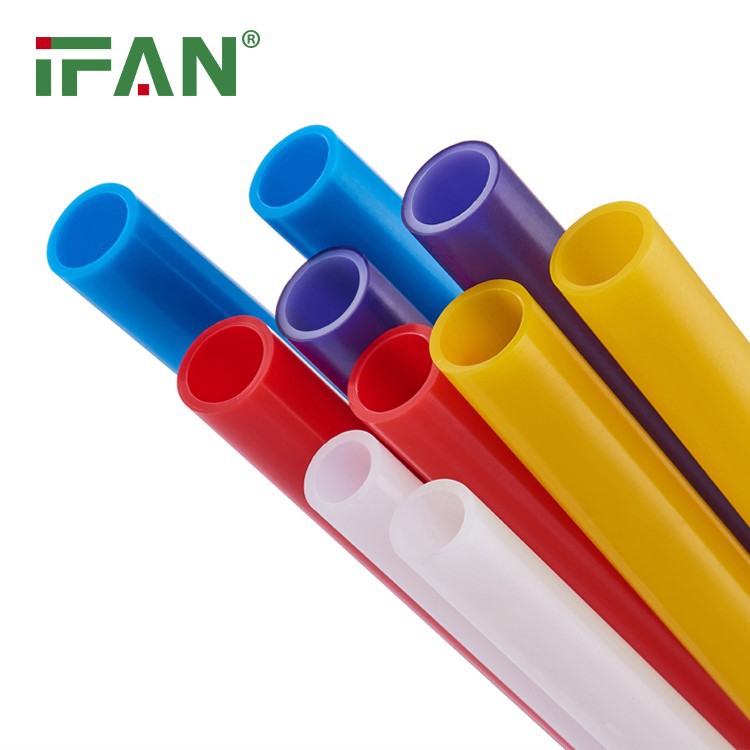 IFAN 21